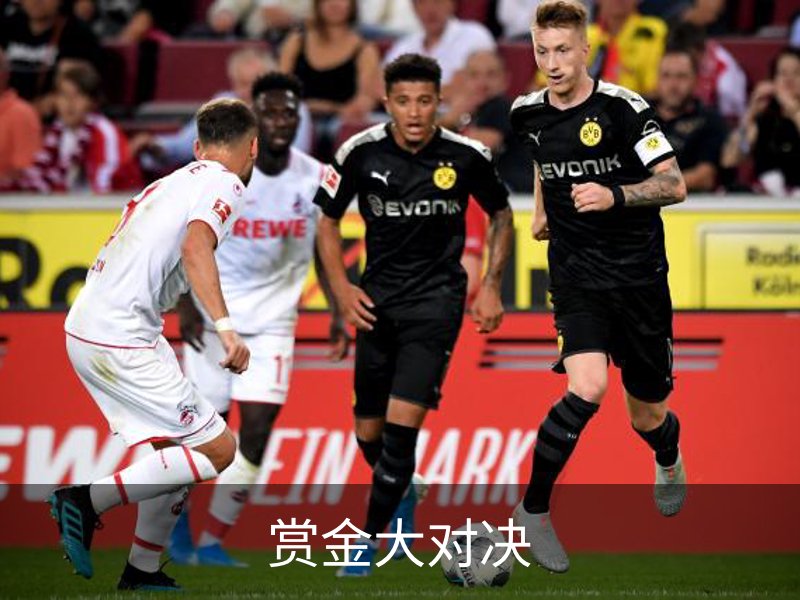 了解赏金大对决
